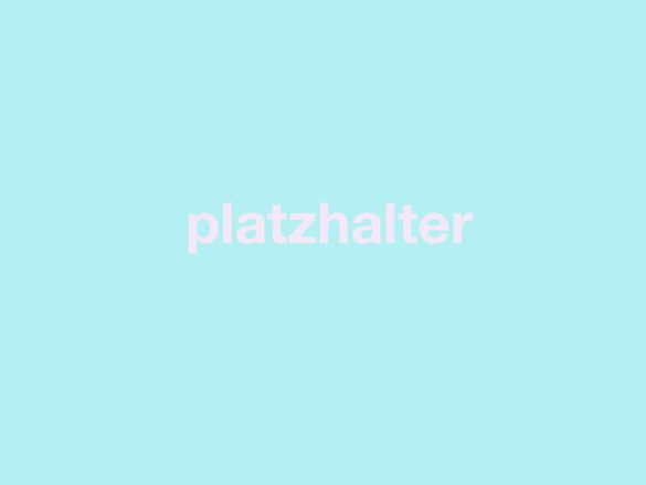 blauer Hintergrund, davor steht relativ groß in rosa "Platzhalter"